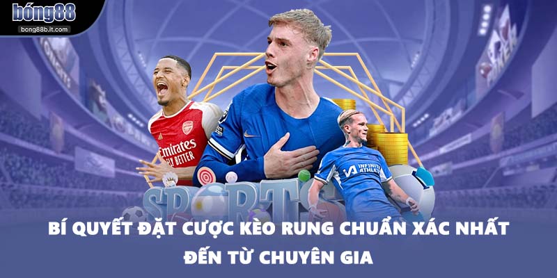 Bí quyết đặt cược kèo rung chuẩn xác nhất đến từ chuyên gia