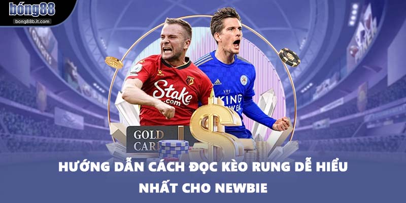 Hướng dẫn cách đọc kèo rung dễ hiểu nhất cho newbie